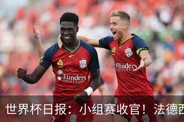 世界杯日报：小组赛收官！法德西荷葡半区绞杀+韩国伊朗出局