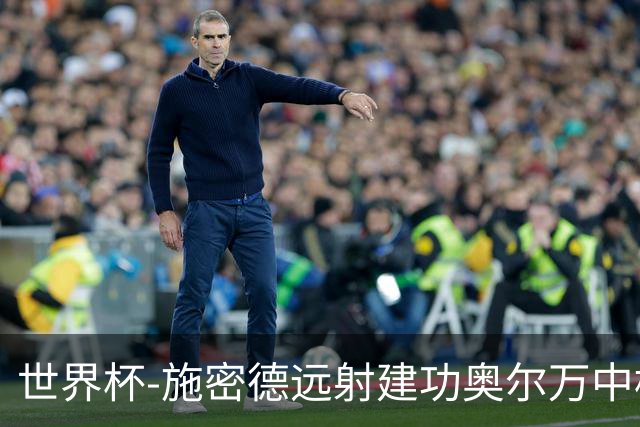 世界杯-施密德远射建功奥尔万中框 半场奥地利1-0约旦