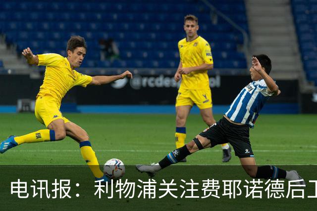 电讯报：利物浦关注费耶诺德后卫海特勒伊达
